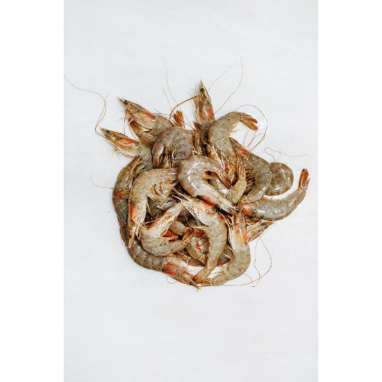 Picture of Gamba Fresca (kg)
