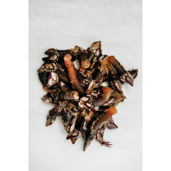 Picture of Percebes (kg)